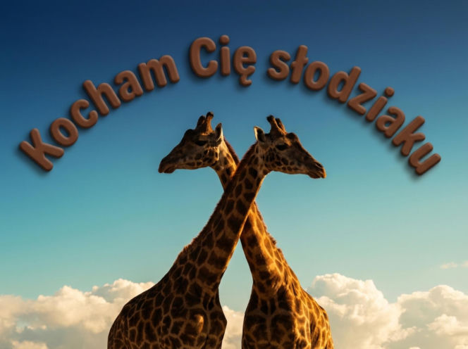 Kartki na Walentynki 2026 do ściągnięcia. Najlepsze życzenia walentynkowe