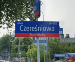 Oto najbardziej wiosenne ulice w stolicy! Tu wiosna trwa cały rok!