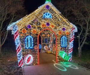 Świąteczne iluminacje w Łomży
