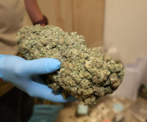 Kilogramy narkotyków i specjalistyczna uprawa