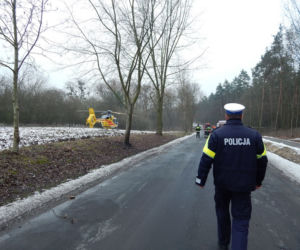 Tragedia podczas wycinki drzew w powiecie radziejowskim! Nie żyje jeden mężczyzna! [ZDJĘCIA]