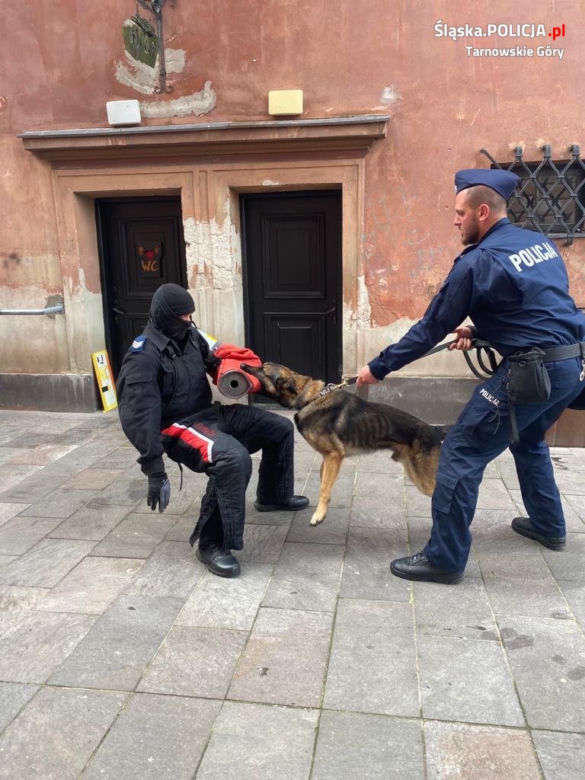 Nowy pies-policjant w Tarnowskich Górach. Ale słodziak! Kubica jest nim zachwycony