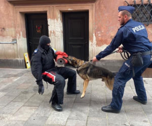 Nowy pies-policjant w Tarnowskich Górach. Ale słodziak! Kubica jest nim zachwycony