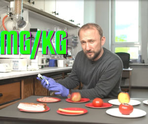 Feder w akcji! W laboratorium sprawdził hit internetu