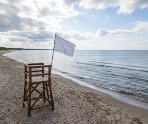 Sinice Stegna. Czy w Stegnie można się kąpać 27.07? Flaga, warunki pogodowe