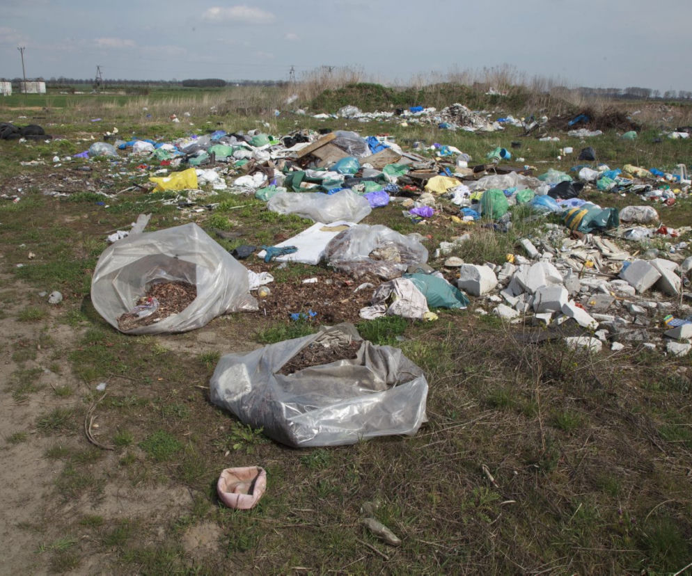 Morze śmieci pod Oleśnicą