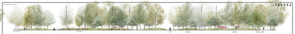 Park Młynówka Królewska w Krakowie