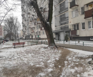 Zima w Radomiu 08.02.2021.