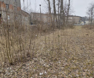 8 lat bez tramwajów na Babiej Wsi. Torowisko w ruinie!