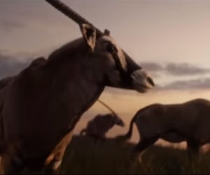 Król Lew - oryginał a nowa wersja filmu