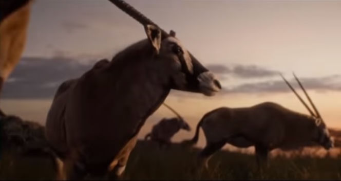 Król Lew - oryginał a nowa wersja filmu
