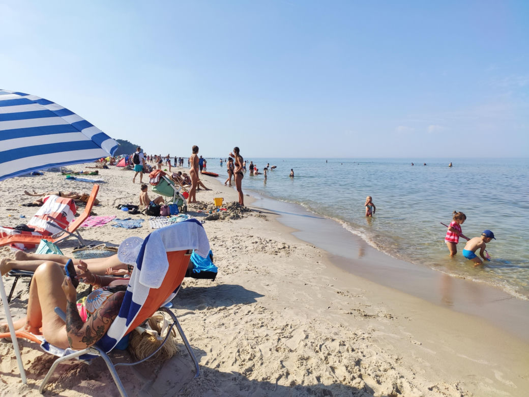 PKS Gdynia Wejherowo- Białógóra