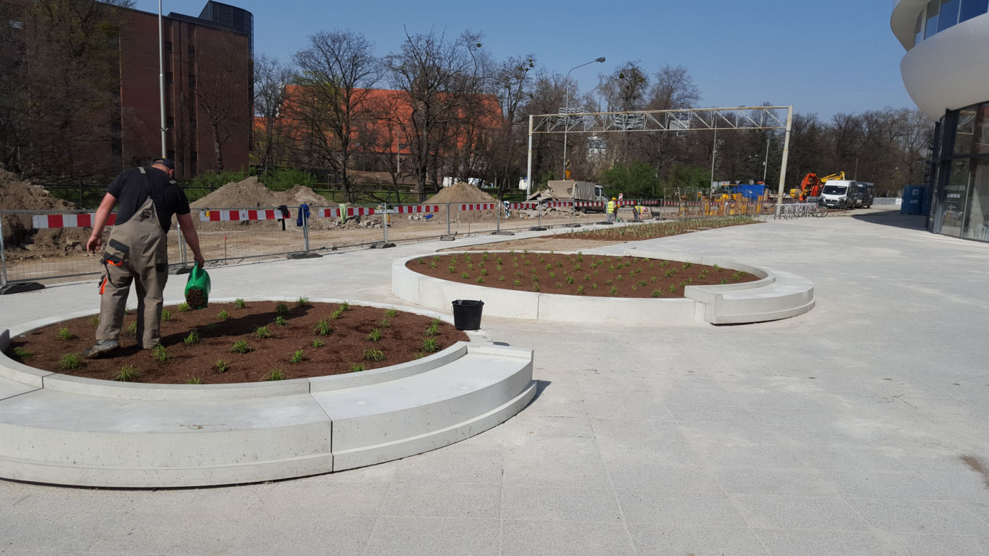 OVO Wrocław