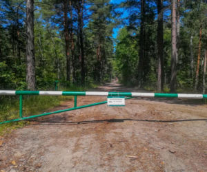 Turyści masowo zastawiają drogi ratunkowe nad morzem. Leśnicy apelują [FOTO]