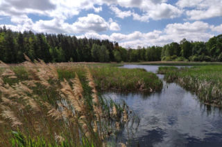 Najmniejszy park krajobrazowy w Śląskiem.  Jest maciupkie