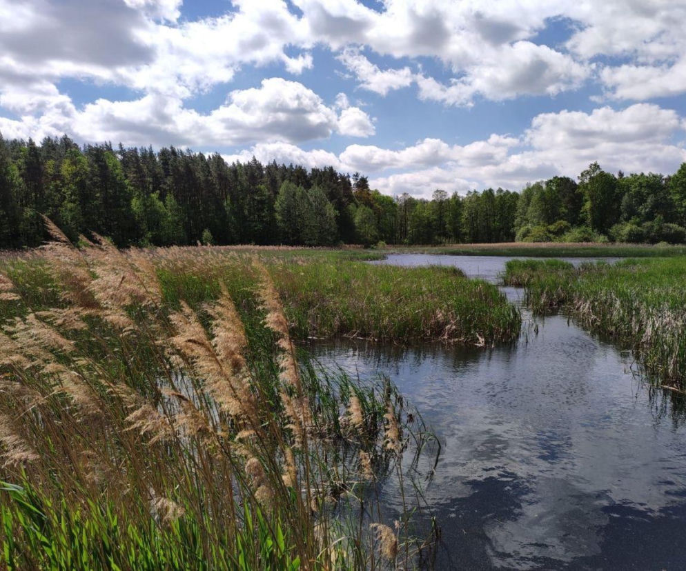 Najmniejszy park krajobrazowy w Śląskiem.  Jest maciupkie