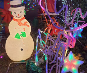 Odlotowy ogród na Bielanach. Niesamowite iluminacje!  