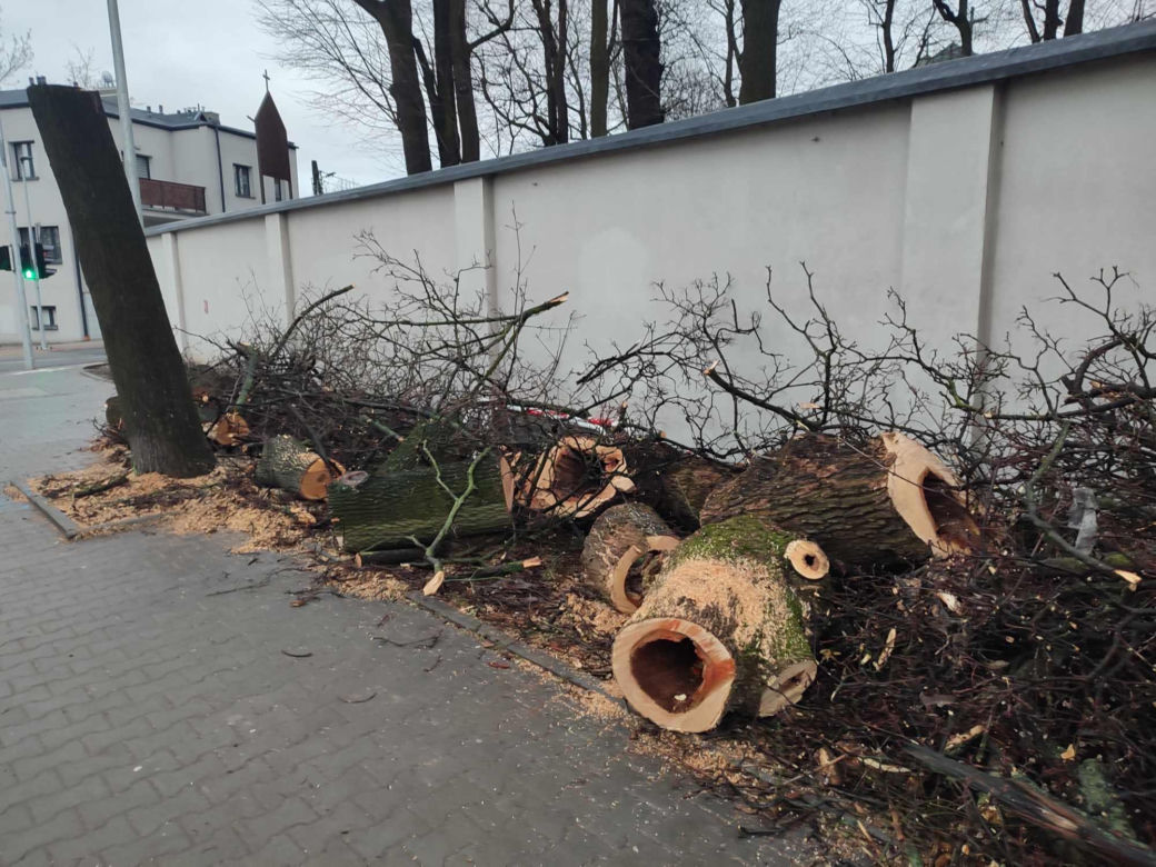 Nowa ścieżka rowerowa na al. 29 Listopada. Skończyło się rzezią drzew