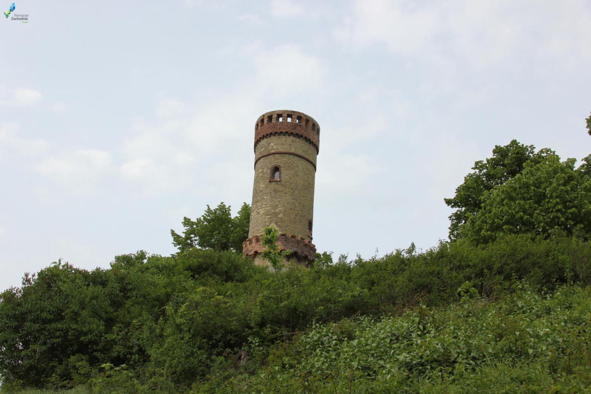 Cedynia 