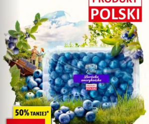 Borówka amerykańska 6,99 zł/250 g