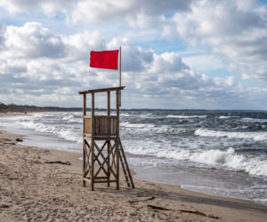 Sinice Gdańsk. Czy w Gdańsku można się kąpać 21.07? Flaga, warunki pogodowe