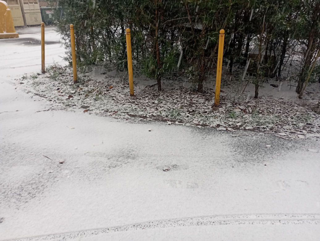 Zima w Poznaniu. Pierwszy śnieg spadł w Wielkopolsce