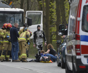 Łoś uderzył w motor przed rondem w Zielonce 