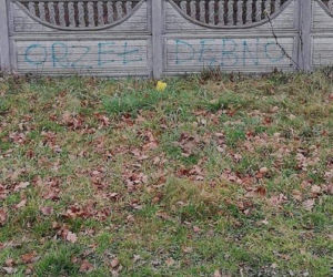J***ć Biadoliny, Biadoliny c***e - wulgarne napisy na obiekcie jednego z klubów piłkarskich