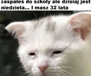 Memy o szkole 2020. Nauka u dobie koronawirusa. Żarty z nowej sytuacji 