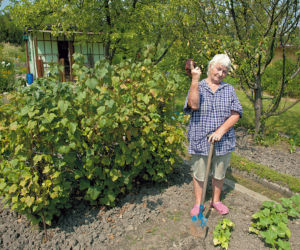 Klara Krupa (75 l.) z Łodzi