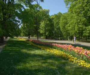 Ogród Saski