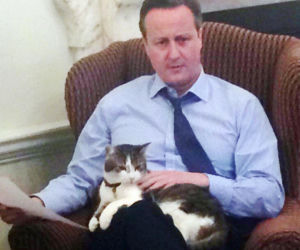 Oto Larry. Chief Mouser to the Gabinet Office