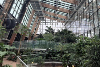 Szklana nowoczesna bryła w Sosnowcu po dwóch latach wciąż oblegana. Egzotarium bije rekordy