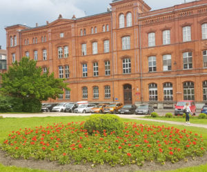 Szczecin w kwiatach