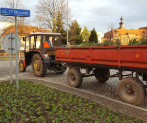 Za nieco ponad miesiąc wiosna! Na skwerach w Lesznie zaczęły się już pozimowe porządki