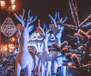 Toruń gotowy na święta Bożego Narodzenia. Cudowny klimat wypełnił starówkę