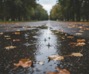 Weekend w Rzeszowie podzielony na dwie części. Ten moment może pokrzyżować plany