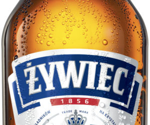 piwa bezalkoholowe w Lidlu 