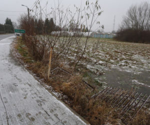 Znaleźli ją nieprzytomną i całą pociętą. Zrobił jej to własny syn? 