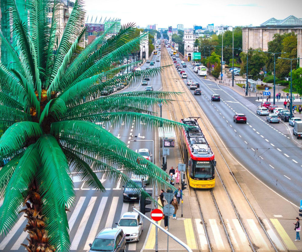 Palma na rondzie de Gaulle'a