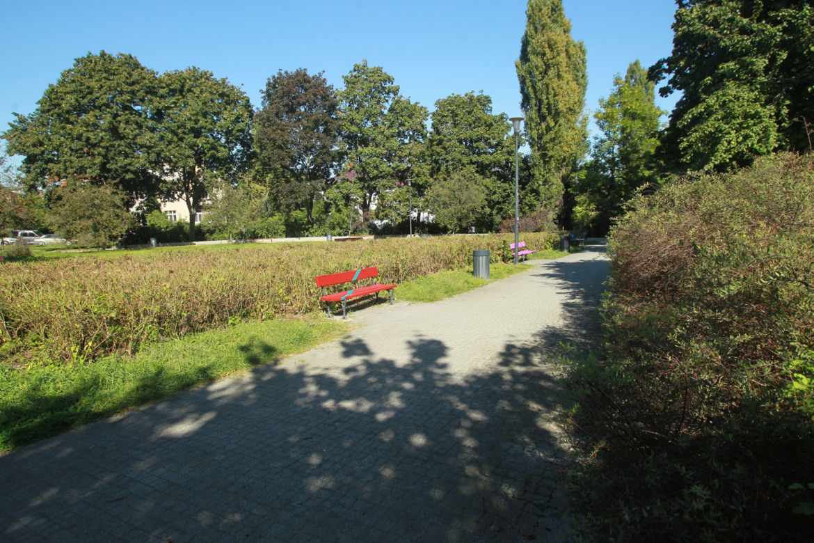 Zazielenianie stolicy. Posadzą 2137 nowych drzew i krzaków! „Nowoczesna Warszawa to miasto zielone”