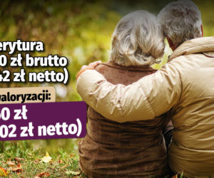 Emerytura bez podatku 
