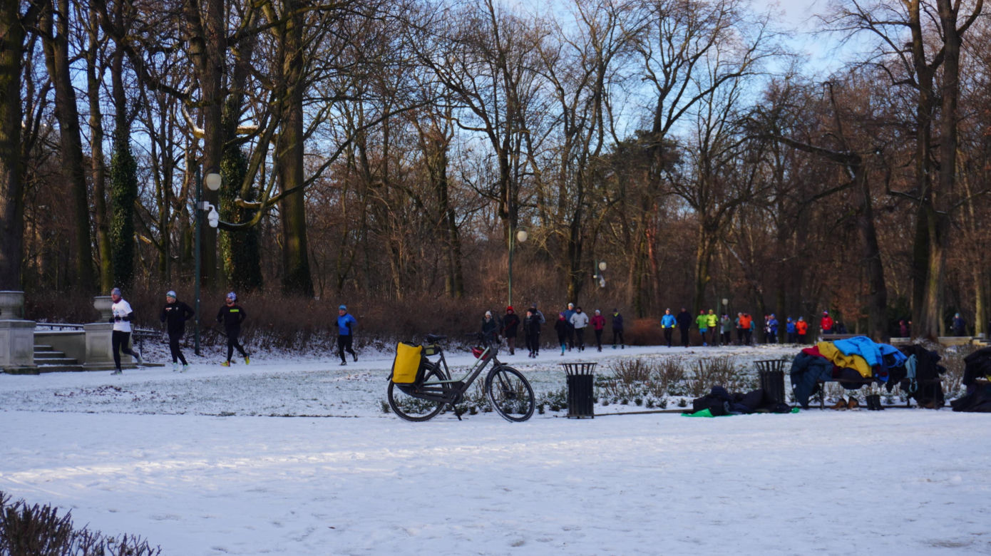 Parkrun w stolicy woj. lubelskiego. Pierwsza sobota 2025 roku na sportowo w Ogrodzie Saskim w Lublinie. Zdjęcia