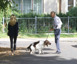 Tusk sprząta po psie