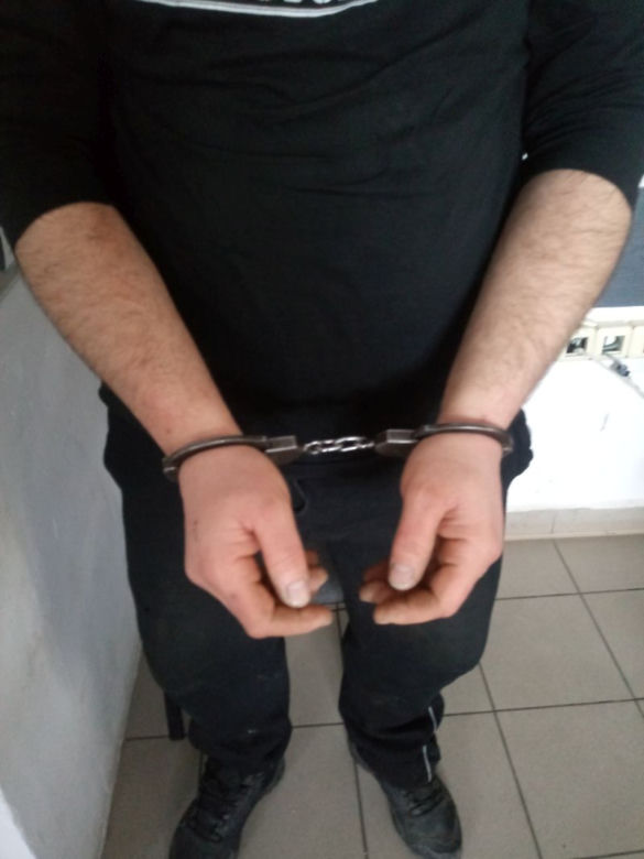 Zastrzelił kota z wiatrówki