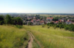 Pińczów