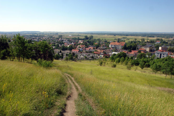 Pińczów