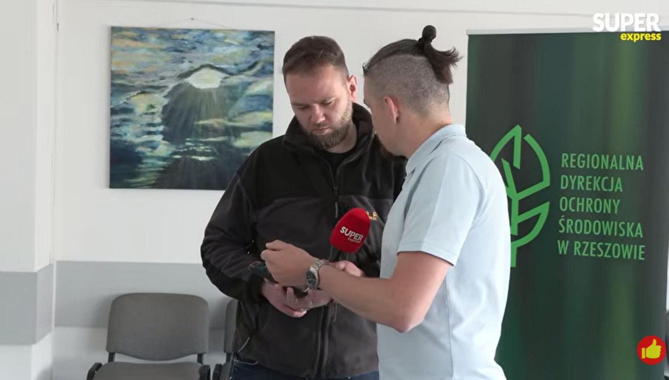 Niedźwiedzie coraz bliżej ludzi. Strach w Bieszczadach narasta: „Boimy się wyjść z domu”