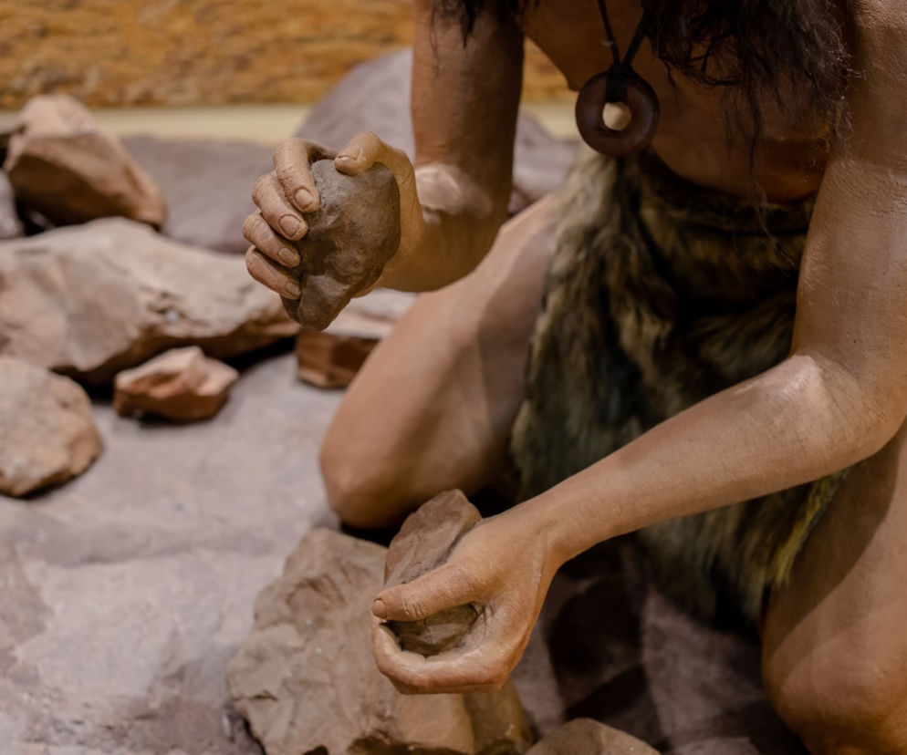 Mazowieckie/ W Iłży archeolodzy odkryli ślady obecności neandertalczyka