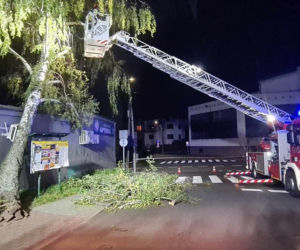 Potężne wichury w Beskidach łamią drzewa. Interweniują strażacy
